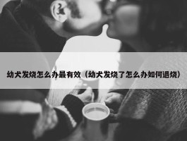 幼犬发烧怎么办最有效（幼犬发烧了怎么办如何退烧）