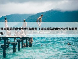 湖南网站的优化软件有哪些（湖南网站的优化软件有哪些呢）