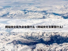 网站优化能为企业做什么（网站优化主要做什么）