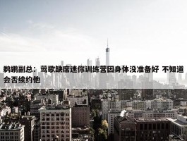 鹈鹕副总：莺歌缺席迷你训练营因身体没准备好 不知道会否续约他