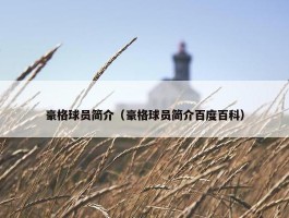 豪格球员简介（豪格球员简介百度百科）