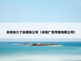 阜阳有几个自媒体公司（阜阳广告传媒有限公司）