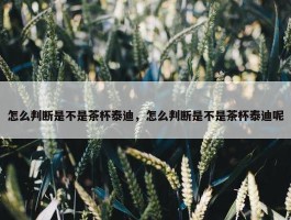 怎么判断是不是茶杯泰迪，怎么判断是不是茶杯泰迪呢