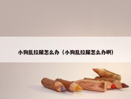 小狗乱拉屎怎么办（小狗乱拉屎怎么办啊）