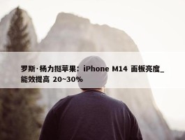 罗斯·杨力挺苹果：iPhone M14 面板亮度_能效提高 20~30%