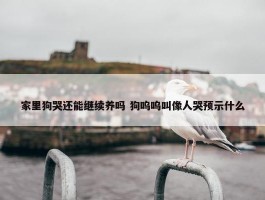 家里狗哭还能继续养吗 狗呜呜叫像人哭预示什么