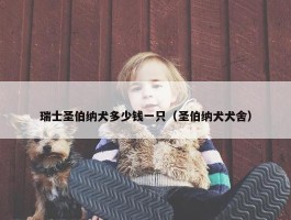 瑞士圣伯纳犬多少钱一只（圣伯纳犬犬舍）