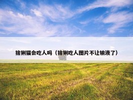 猞猁猫会吃人吗（猞猁吃人图片不让输液了）