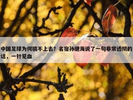 中国足球为何搞不上去？名宿孙继海说了一句非常透彻的话，一针见血