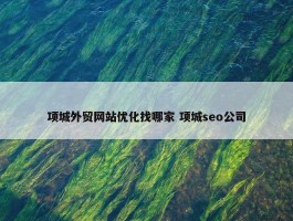 项城外贸网站优化找哪家 项城seo公司