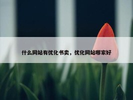 什么网站有优化书卖，优化网站哪家好