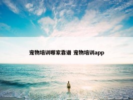 宠物培训哪家靠谱 宠物培训app