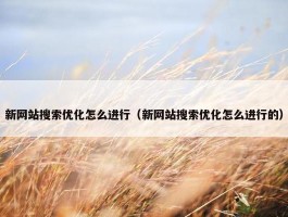 新网站搜索优化怎么进行（新网站搜索优化怎么进行的）