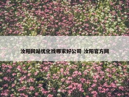 汝阳网站优化找哪家好公司 汝阳官方网