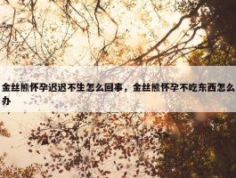 金丝熊怀孕迟迟不生怎么回事，金丝熊怀孕不吃东西怎么办