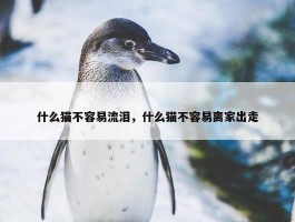 什么猫不容易流泪，什么猫不容易离家出走