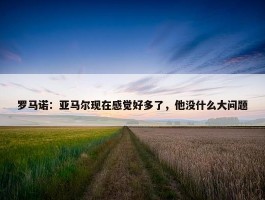 罗马诺：亚马尔现在感觉好多了，他没什么大问题