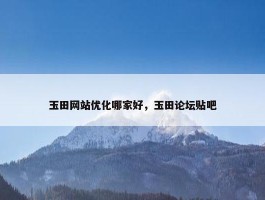 玉田网站优化哪家好，玉田论坛贴吧