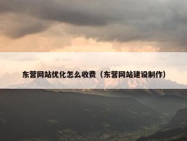 东营网站优化怎么收费（东营网站建设制作）