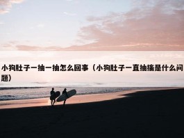 小狗肚子一抽一抽怎么回事（小狗肚子一直抽搐是什么问题）