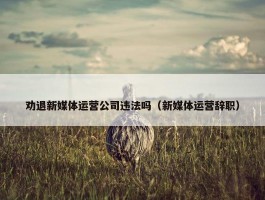 劝退新媒体运营公司违法吗（新媒体运营辞职）