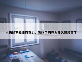 小狗能不能吃巧克力，狗吃了巧克力多久算没事了