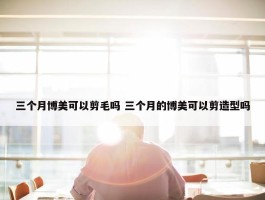 三个月博美可以剪毛吗 三个月的博美可以剪造型吗