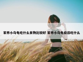 家养小乌龟吃什么食物比较好 家养小乌龟应该吃什么