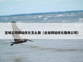 宣城公司网站优化怎么做（企业网站优化服务公司）