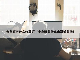 金鱼缸养什么水草好（金鱼缸养什么水草好养活）