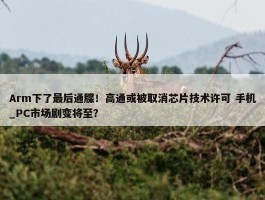 Arm下了最后通牒！高通或被取消芯片技术许可 手机_PC市场剧变将至？