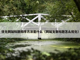 优化网站标题排序方法是什么（网站文章标题怎么优化）