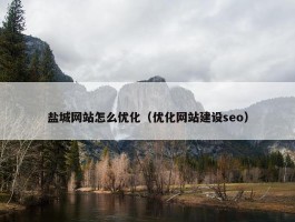 盐城网站怎么优化（优化网站建设seo）