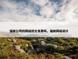 福田公司的网站优化有用吗，福田网站设计