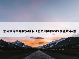 怎么训练拉布拉多趴下（怎么训练拉布拉多坐立不动）