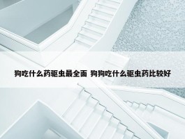 狗吃什么药驱虫最全面 狗狗吃什么驱虫药比较好