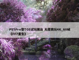 PS5Pro登TGS试玩展台 大佬爽玩4K_60帧《FF7重生》