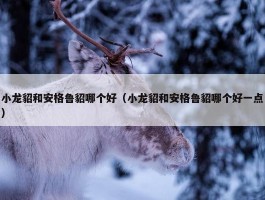 小龙貂和安格鲁貂哪个好（小龙貂和安格鲁貂哪个好一点）