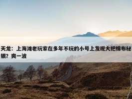 天龙：上海滩老玩家在多年不玩的小号上发现大把棉布秘银？爽一波