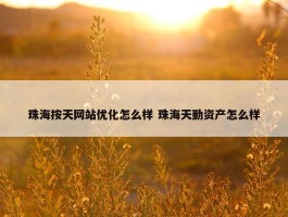 珠海按天网站优化怎么样 珠海天勤资产怎么样