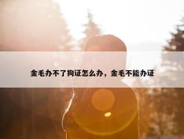 金毛办不了狗证怎么办，金毛不能办证