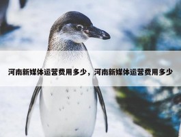 河南新媒体运营费用多少，河南新媒体运营费用多少