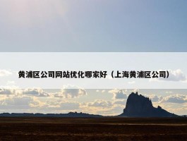 黄浦区公司网站优化哪家好（上海黄浦区公司）