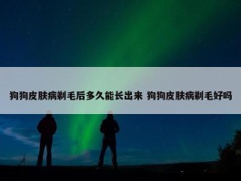 狗狗皮肤病剃毛后多久能长出来 狗狗皮肤病剃毛好吗