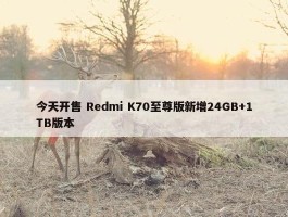 今天开售 Redmi K70至尊版新增24GB+1TB版本