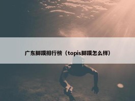 广东脚蹼排行榜（topis脚蹼怎么样）