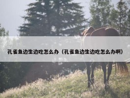 孔雀鱼边生边吃怎么办（孔雀鱼边生边吃怎么办啊）