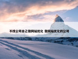 不找公司自己做网站优化 做网站优化的公司