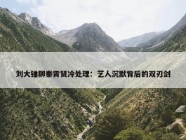 刘大锤聊秦霄贤冷处理：艺人沉默背后的双刃剑