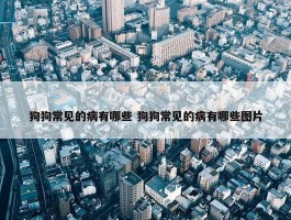 狗狗常见的病有哪些 狗狗常见的病有哪些图片